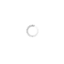 Image Loading...